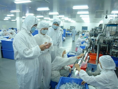 专业辅导助力药企从容应对FDA抽查验厂